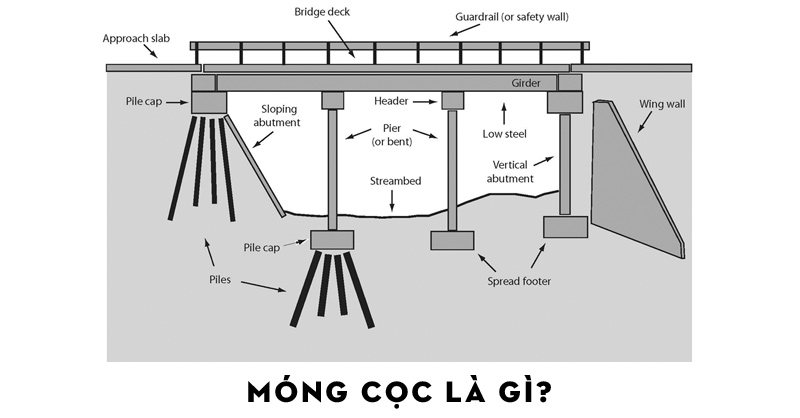 mong-coc